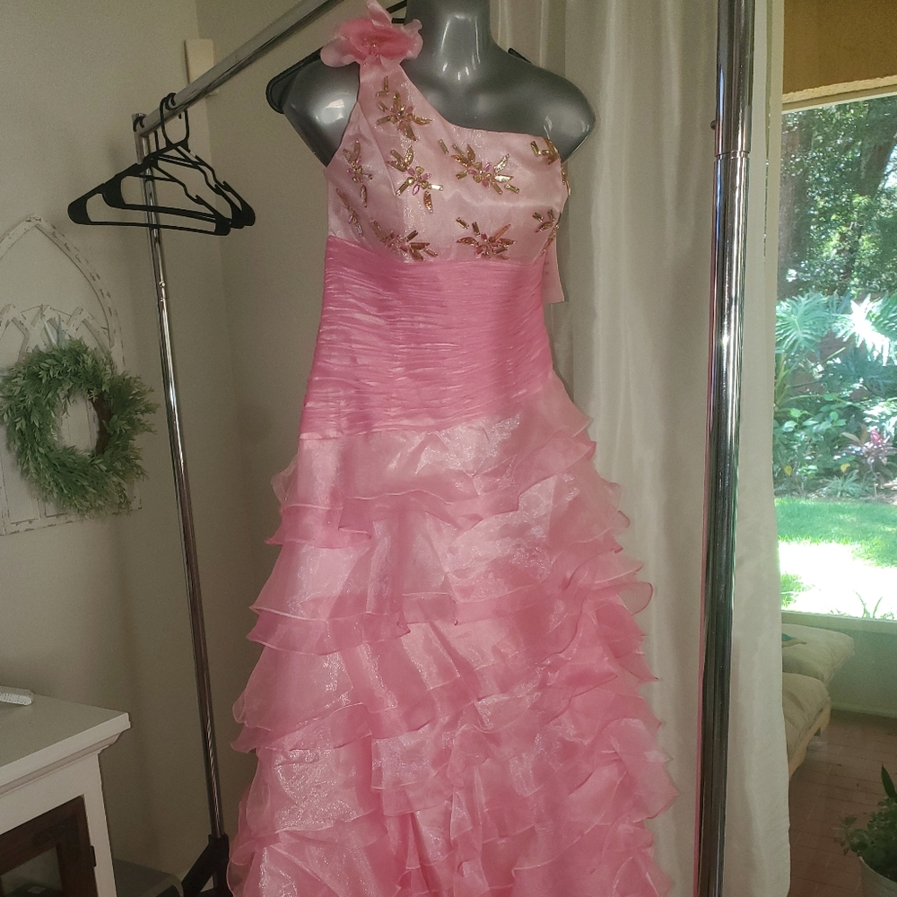 Gorgeous pink Gown dress